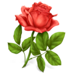 rose-icon